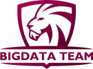 bigdata team